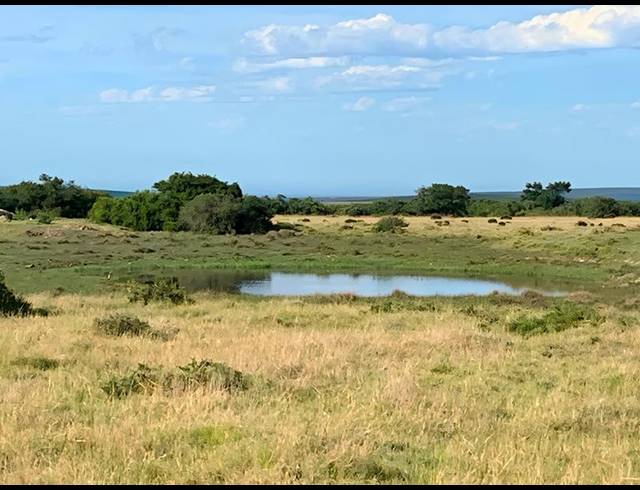 FARM FOR SALE IN MOSSEL BAY RURAL